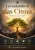 Ebook Levantando-se das cinzas